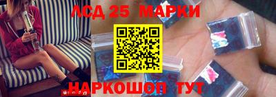 прущие грибы Новозыбков