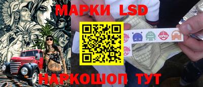 прущие грибы Новозыбков
