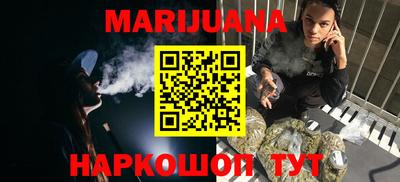 прущие грибы Новозыбков