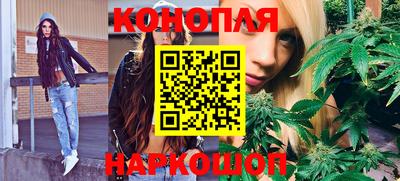 прущие грибы Новозыбков
