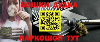 прущие грибы Новозыбков