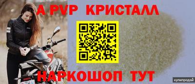 прущие грибы Новозыбков