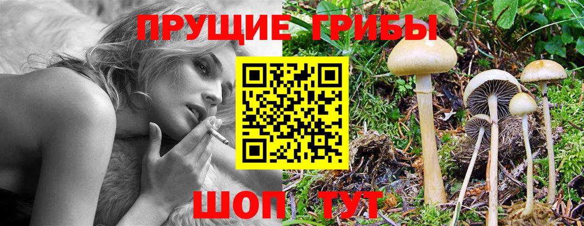 Псилоцибиновые грибы MAGIC MUSHROOMS Вологда