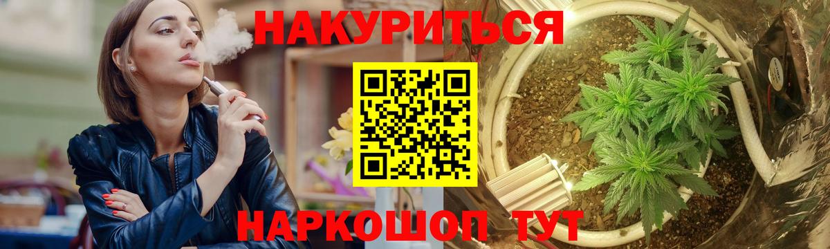 Бошки Шишки план Вологда